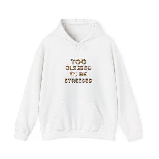 Too Blessed to Be Stressed Christian Hoodie